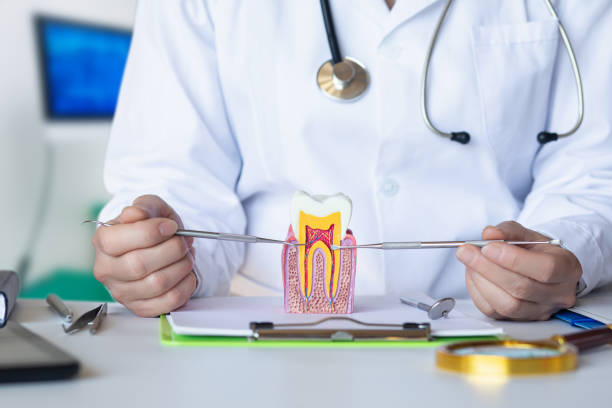 Best Emergency Orthodontic Repairs in Olympia, SC